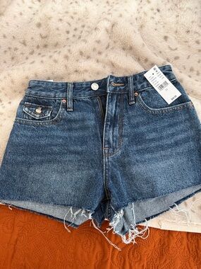 PacSun Distressed High-Rise Denim Shorts - Blue